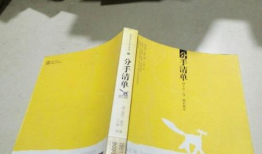 分手清单,揭秘爱情终结的真相与反思