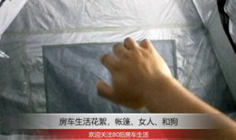 女人与动物性交视频,揭秘人类与动物性行为的禁忌真相